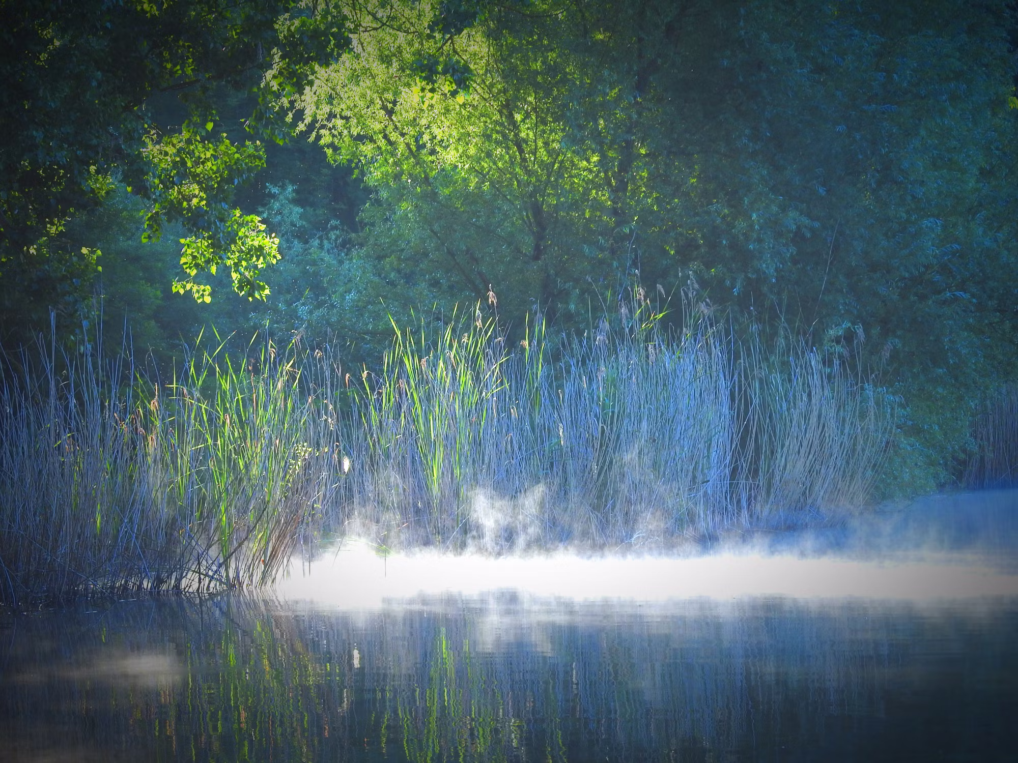 The Art of Stillness: Embracing Meditation in Everyday Life